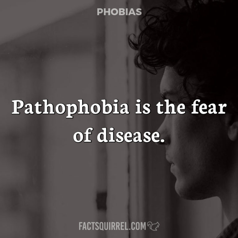 The fear of crowds is known as enochlophobia FactSquirrel