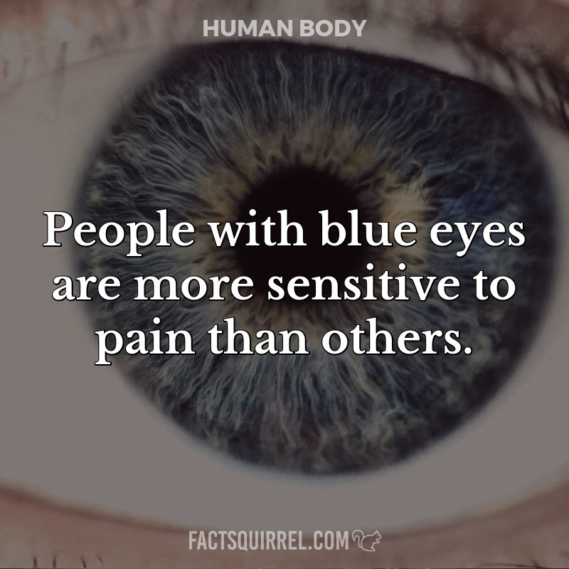People with blue eyes are more sensitive to pain than others