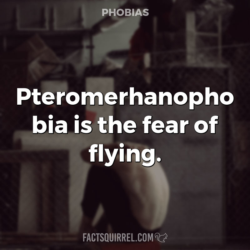 Pteromerhanophobia is the fear of flying