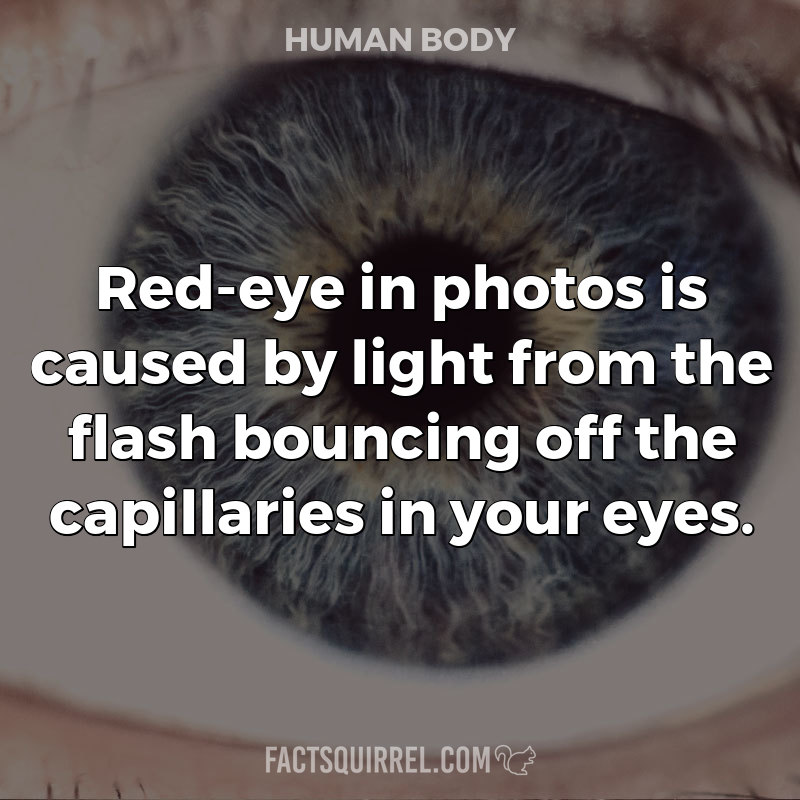 Red-eye in photos is caused by light from the flash bouncing off the capillaries in your eyes.