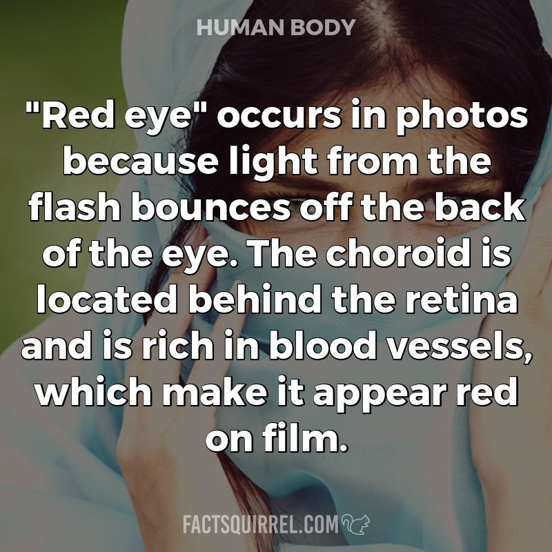 “Red eye” occurs in photos because light from the flash bounces off the