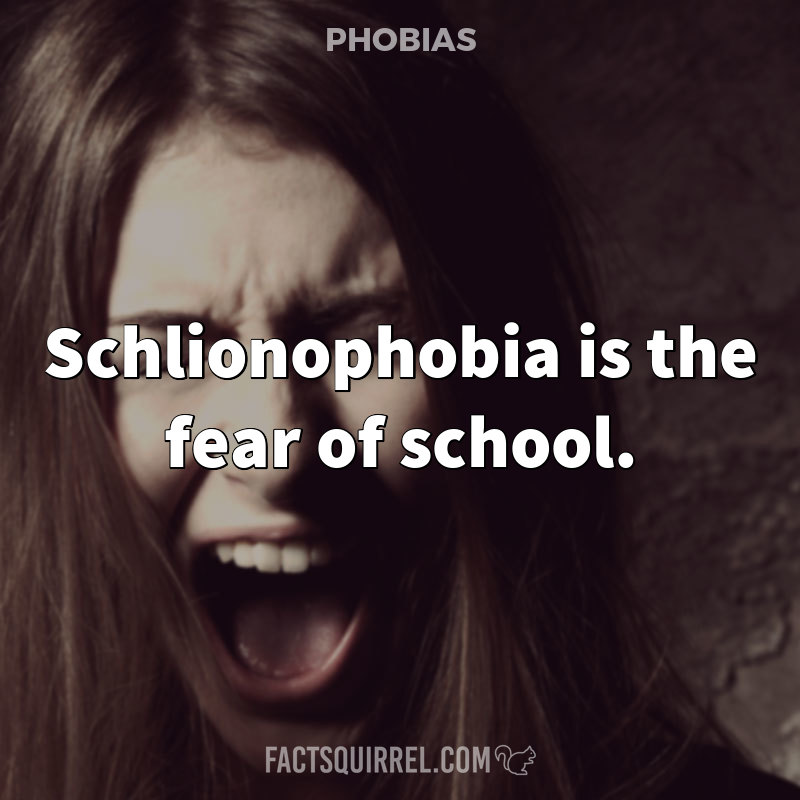 Schlionophobia is the fear of school