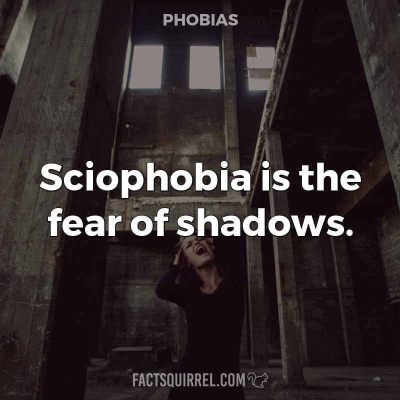 Sciophobia is the fear of shadows