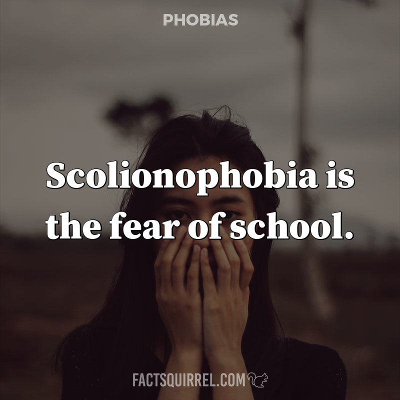 Scolionophobia is the fear of school