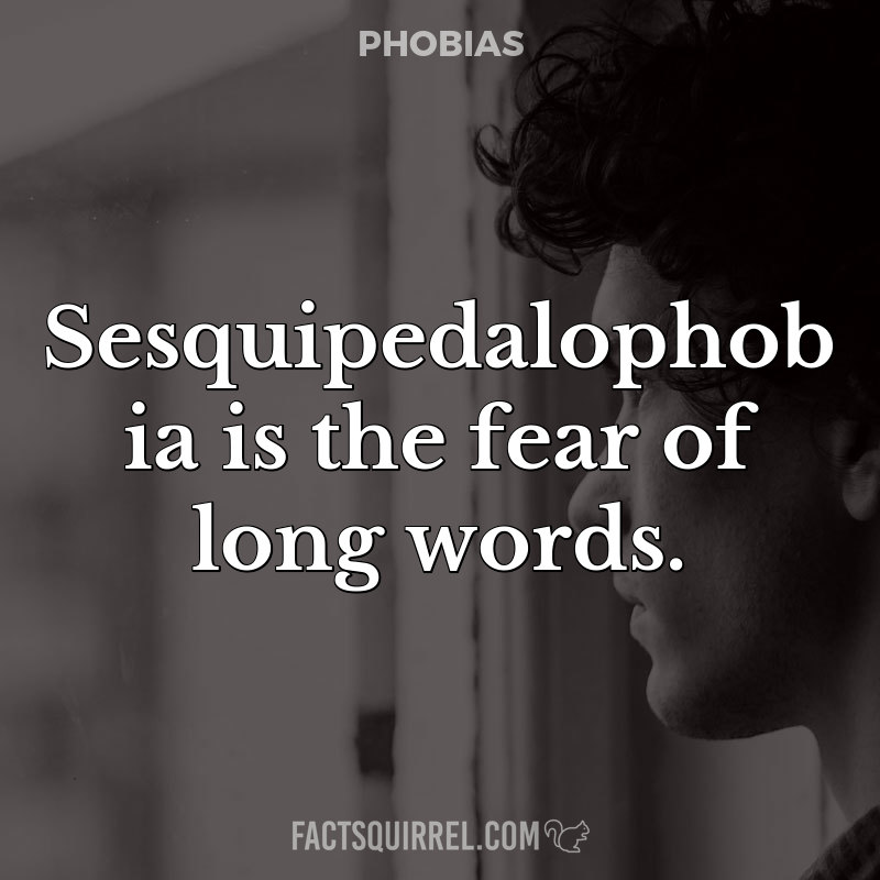 Sesquipedalophobia is the fear of long words