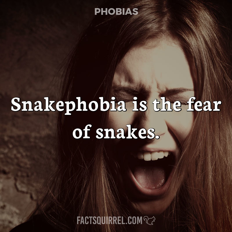Snakephobia is the fear of snakes