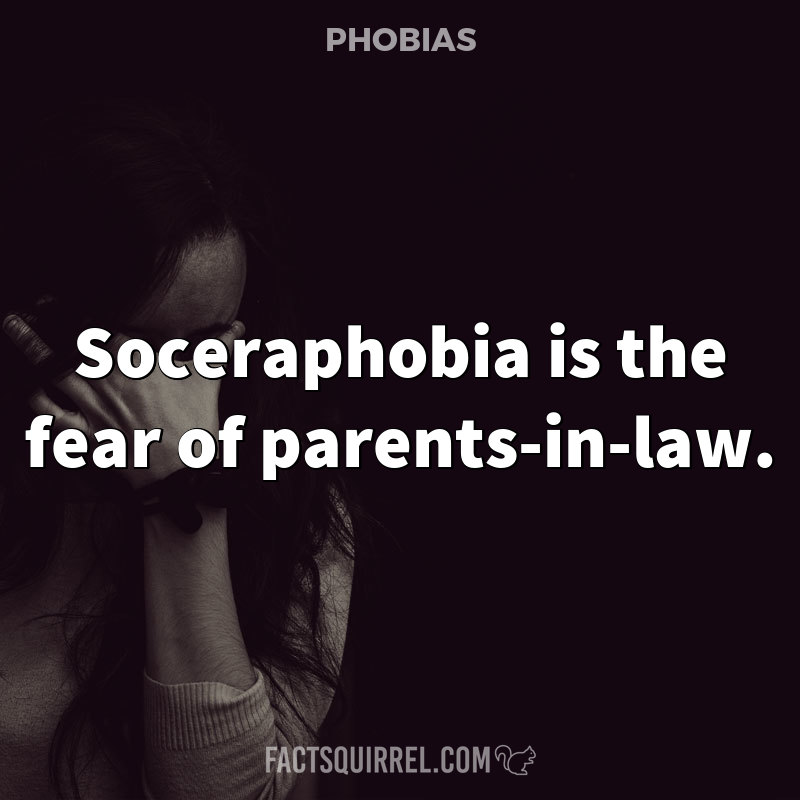 Soceraphobia is the fear of parents-in-law