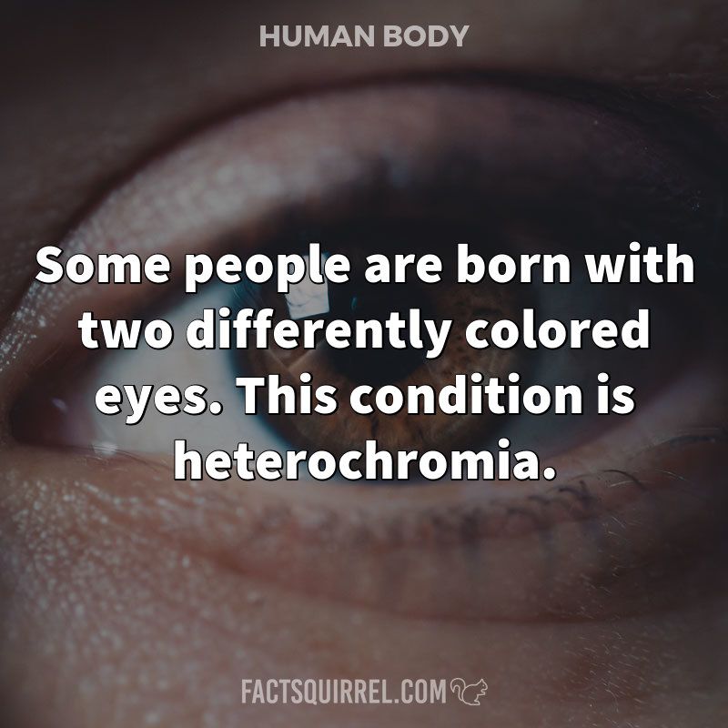 Some people are born with two differently colored eyes. This condition is heterochromia.