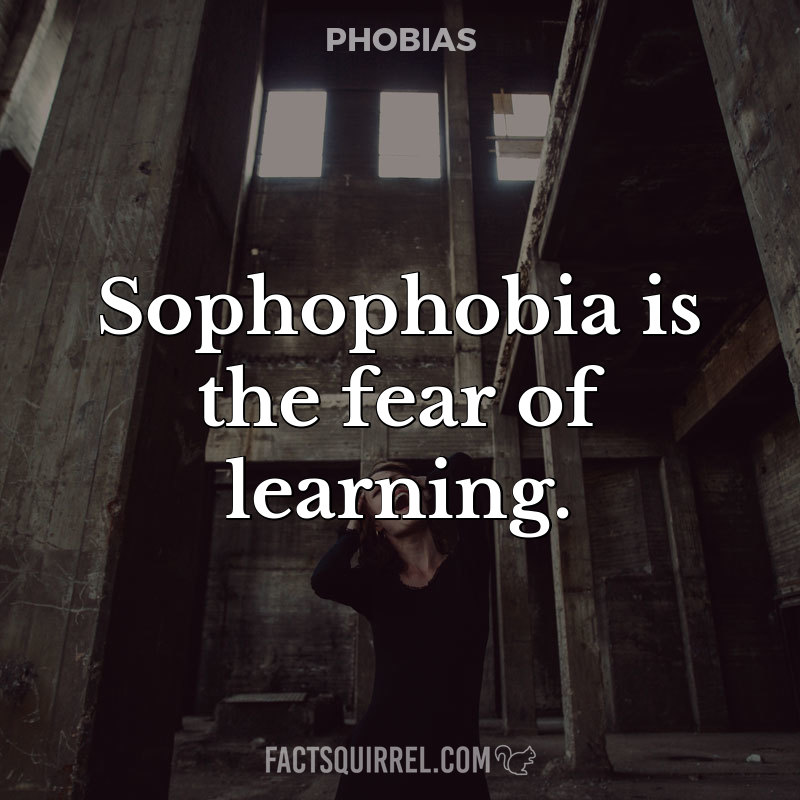 Sophophobia is the fear of learning