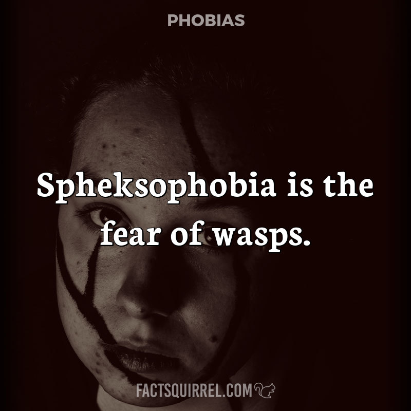 Spheksophobia is the fear of wasps