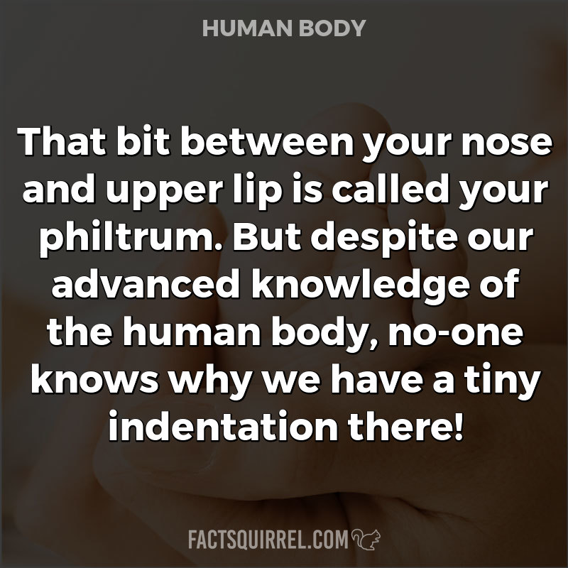 That bit between your nose and upper lip is called your philtrum. But