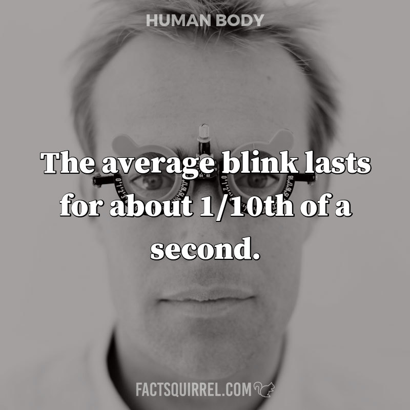 The average blink lasts for about 1/10th of a second