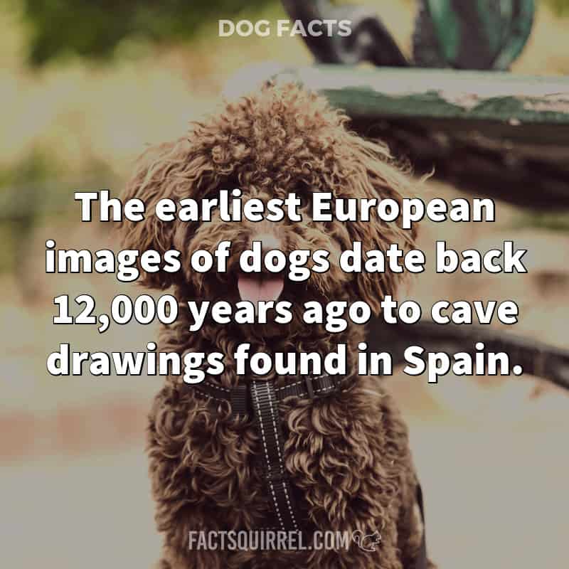 The earliest European images of dogs date back 12,000 years ago to cave