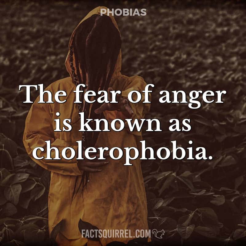 The fear of anger is known as cholerophobia