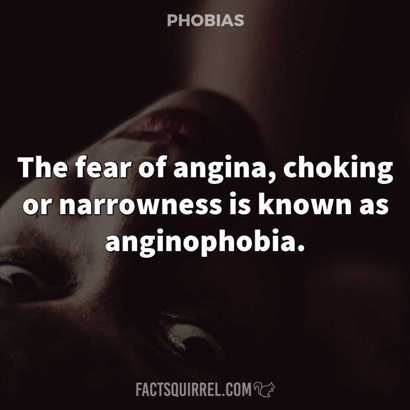 The fear of angina, choking or narrowness is known as anginophobia