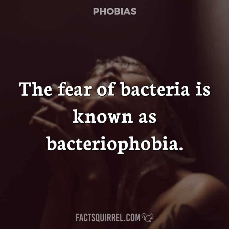 The fear of bacteria is known as bacteriophobia