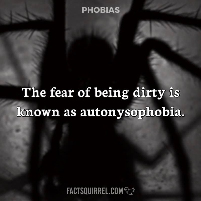 The fear of being dirty is known as autonysophobia