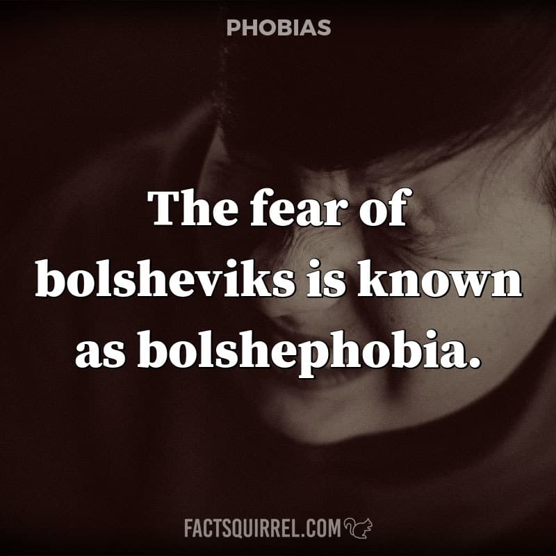 The fear of bolsheviks is known as bolshephobia