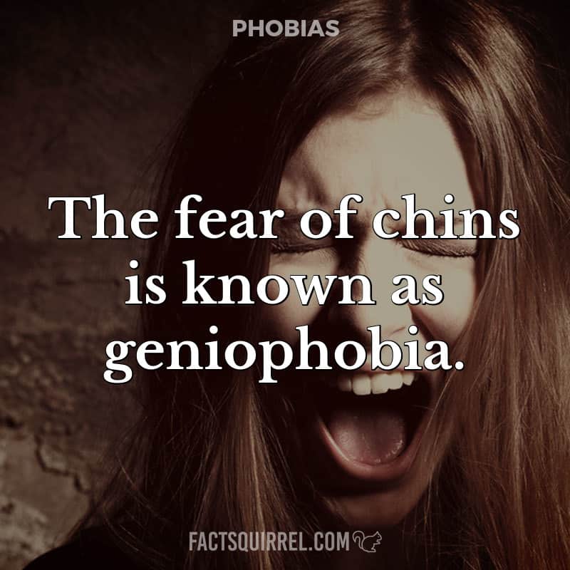 The fear of chins is known as geniophobia