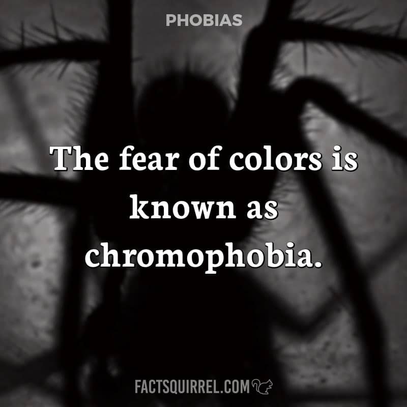 The fear of colors is known as chromophobia