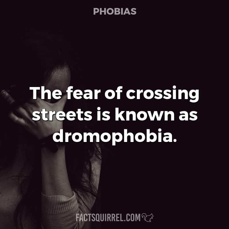The fear of crossing streets is known as dromophobia
