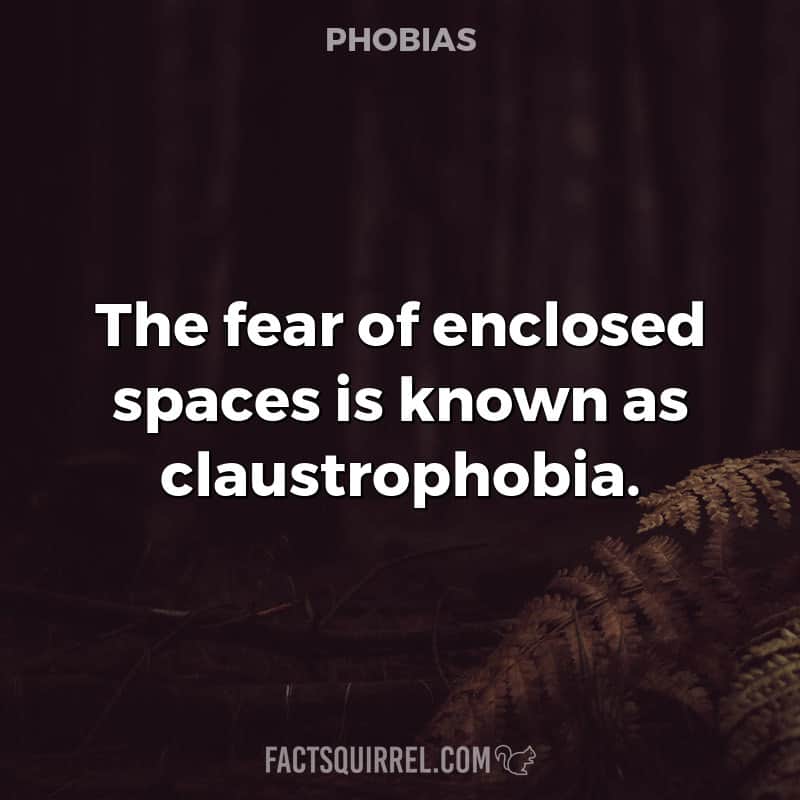 The fear of enclosed spaces is known as claustrophobia