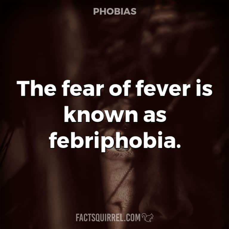 Siderophobia is the fear of stars Fact Squirrel