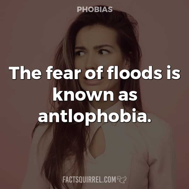 The fear of floods is known as antlophobia