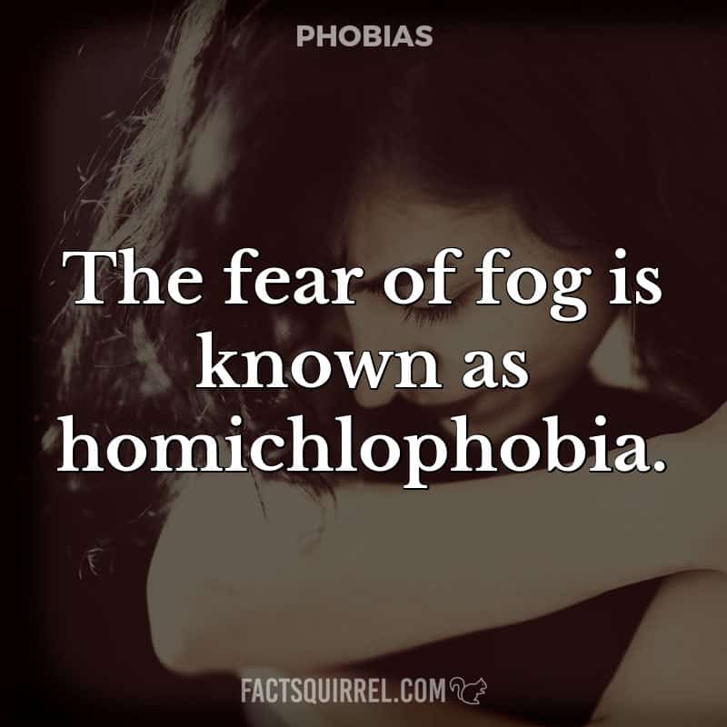 The fear of fog is known as homichlophobia