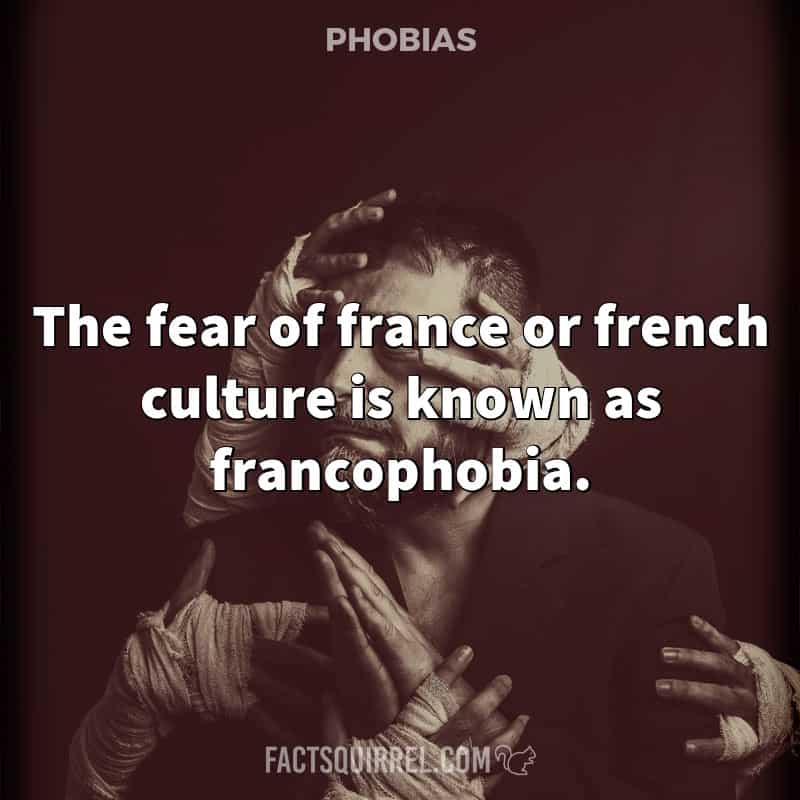 The fear of france or french culture is known as francophobia