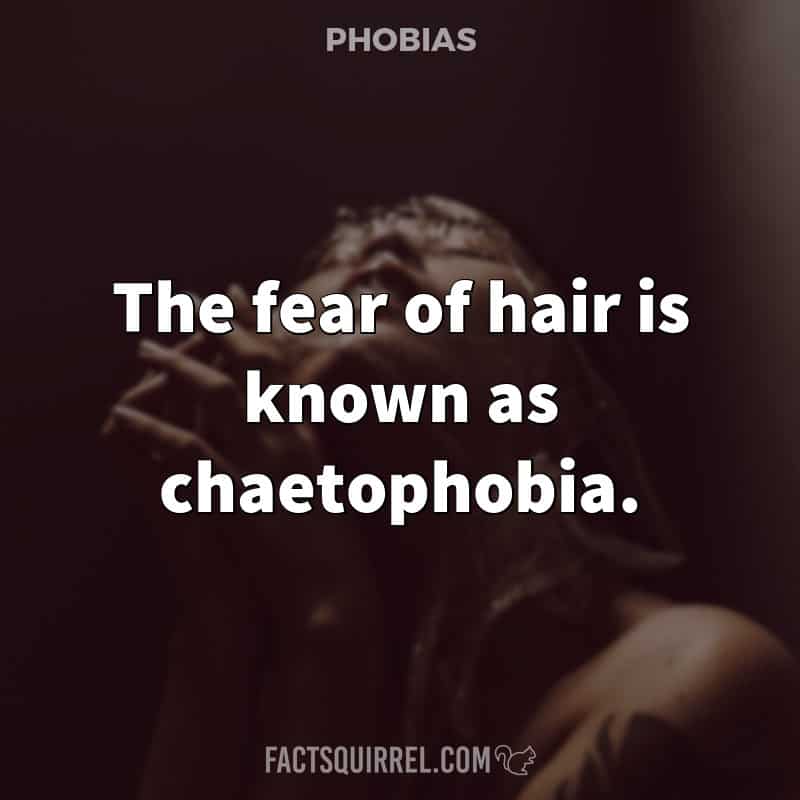 The fear of hair is known as chaetophobia