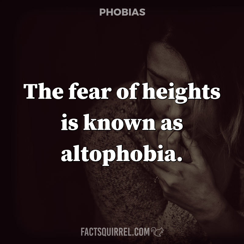 The fear of heights is known as altophobia