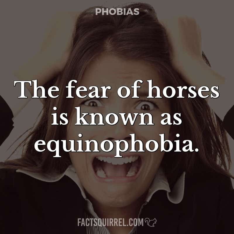 The fear of horses is known as equinophobia