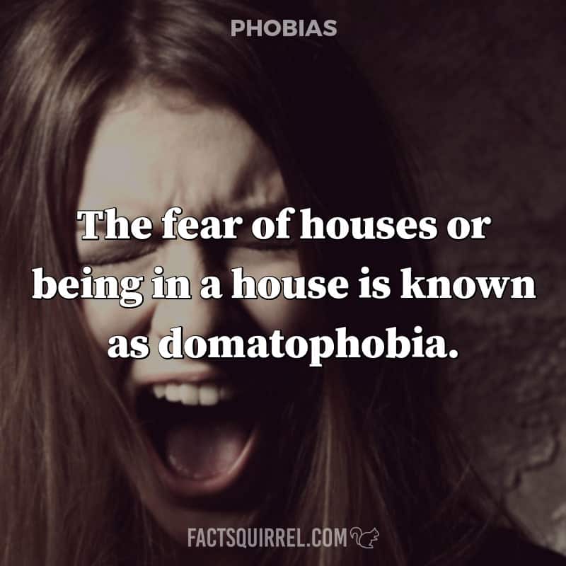 The fear of houses or being in a house is known as domatophobia