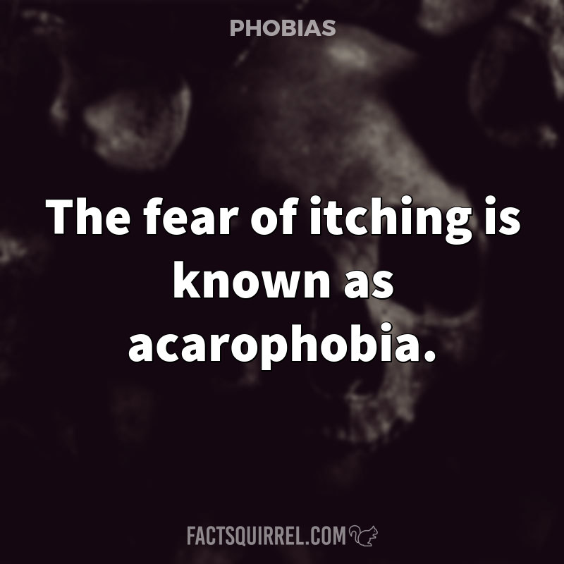 The fear of itching is known as acarophobia