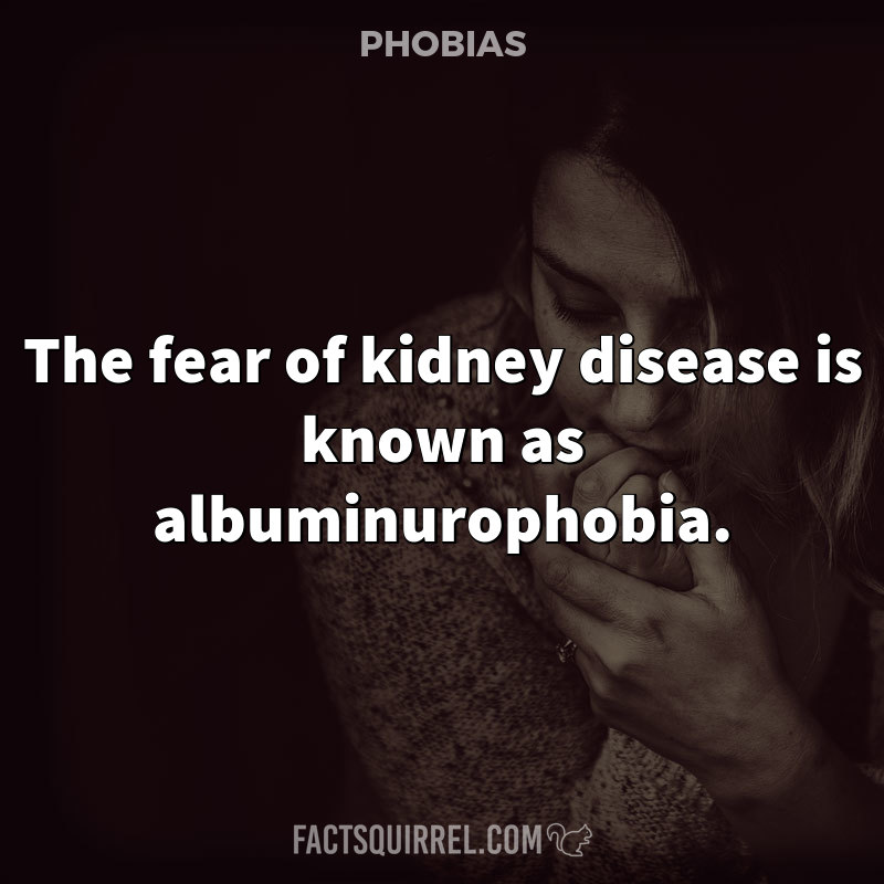 The fear of kidney disease is known as albuminurophobia