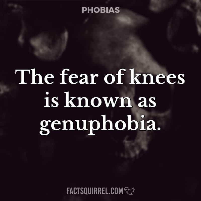 The fear of knees is known as genuphobia