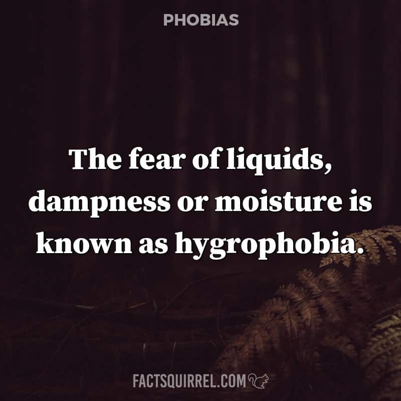 The fear of liquids, dampness or moisture is known as hygrophobia