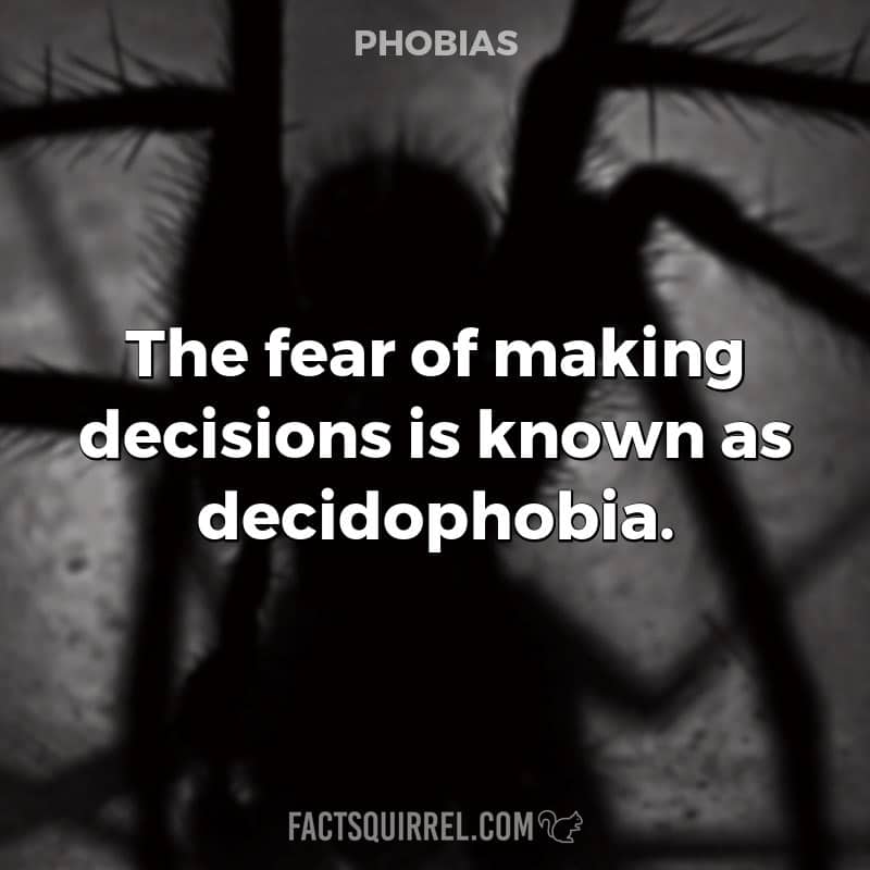 The fear of making decisions is known as decidophobia