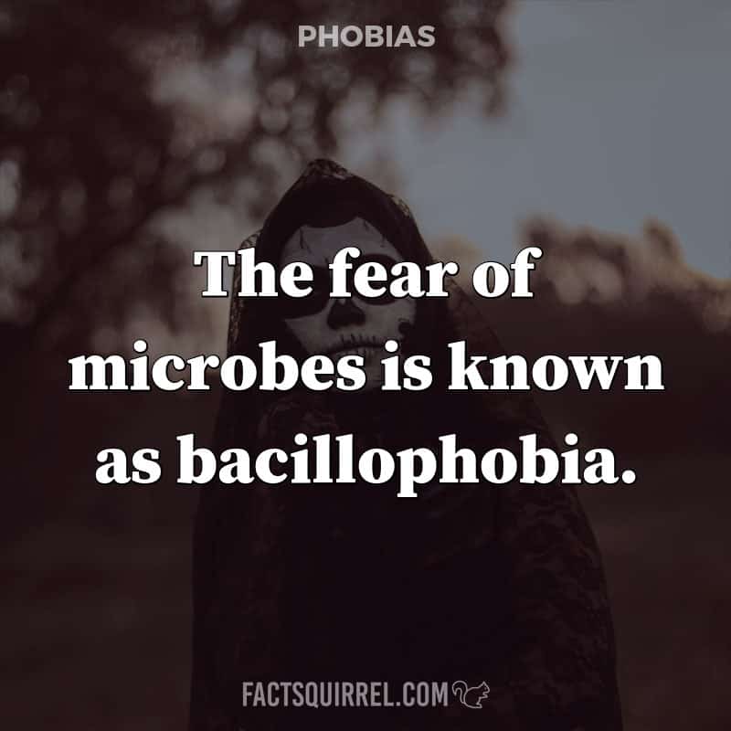 The fear of microbes is known as bacillophobia