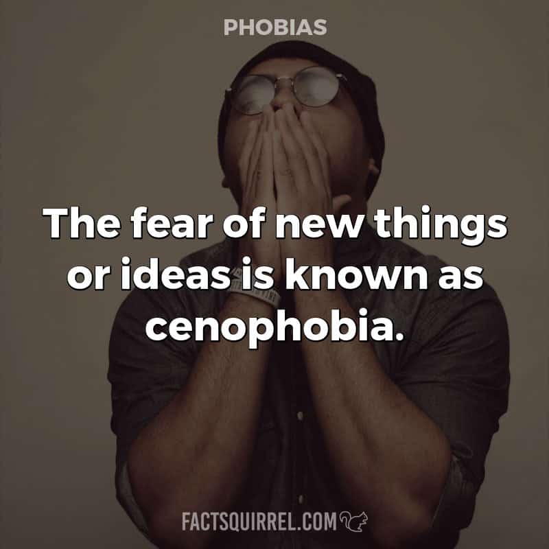 The fear of new things or ideas is known as cenophobia