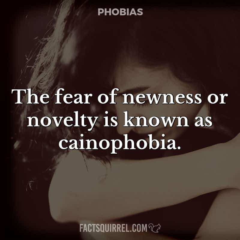 The fear of newness or novelty is known as cainophobia
