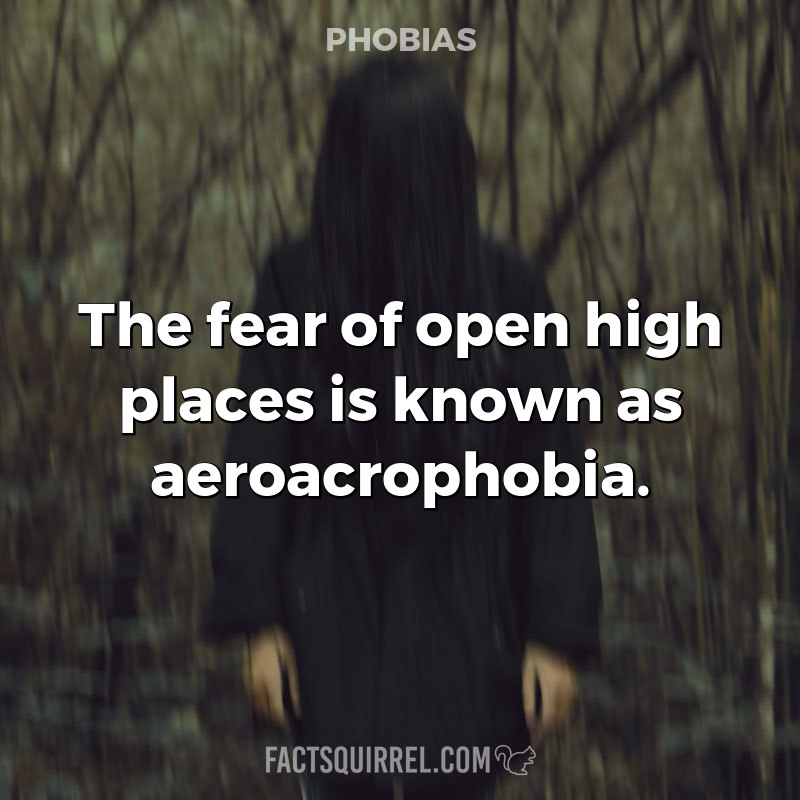 The fear of open high places is known as aeroacrophobia
