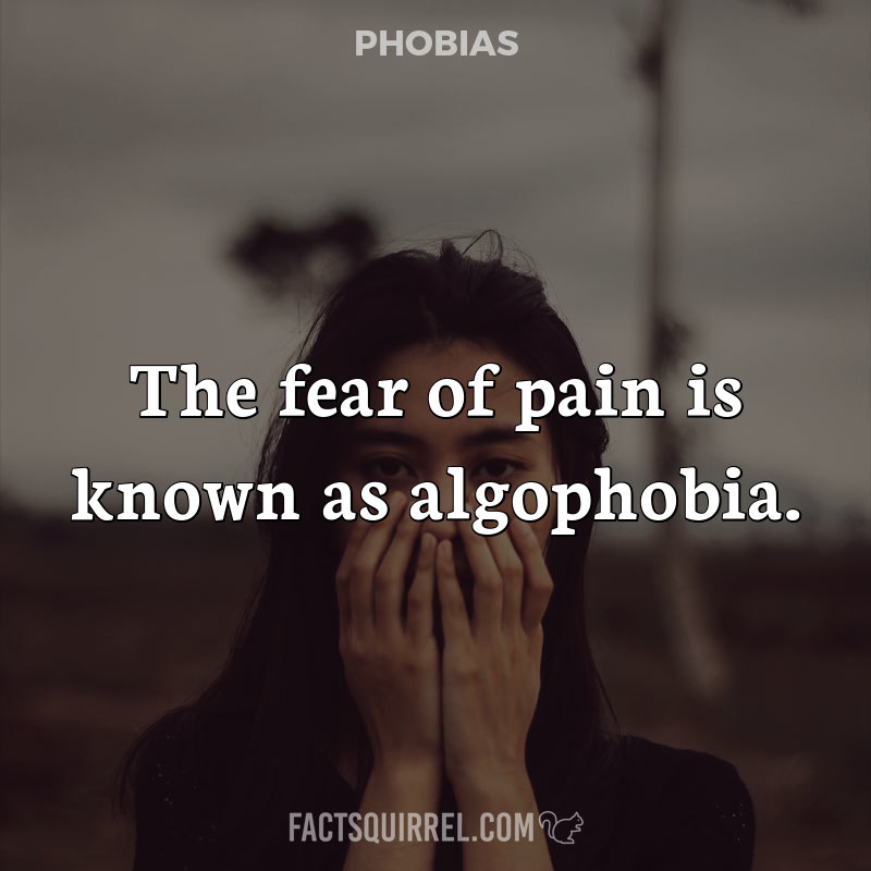 The fear of pain is known as algophobia