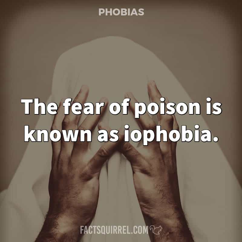 The fear of poison is known as iophobia