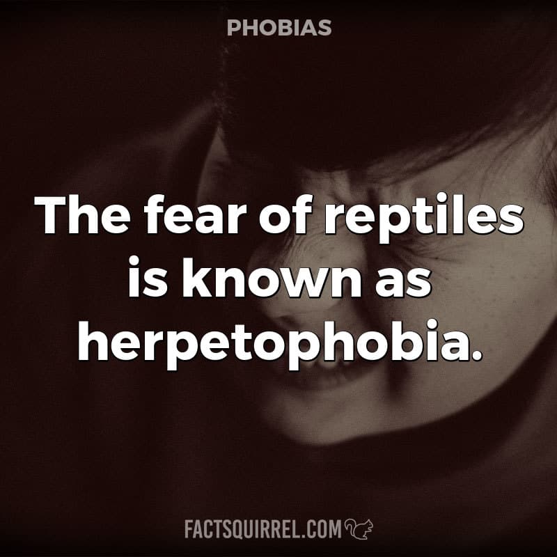 The fear of reptiles is known as herpetophobia
