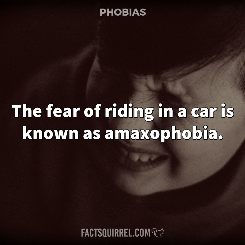 The fear of riding in a car is known as amaxophobia