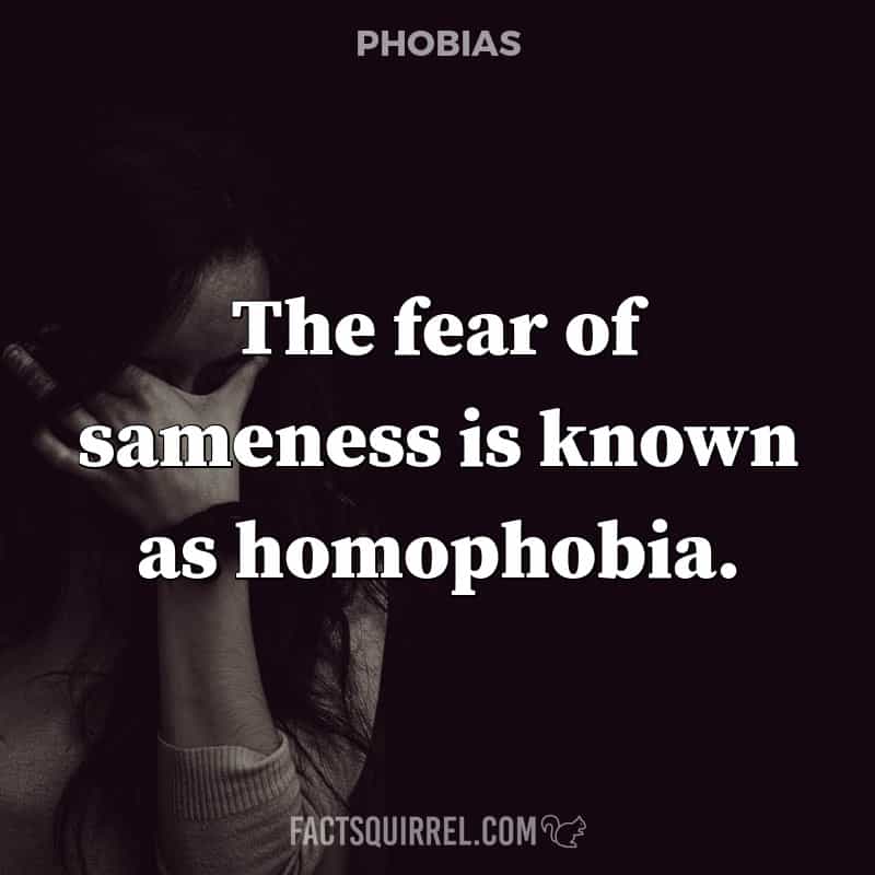 The fear of sameness is known as homophobia