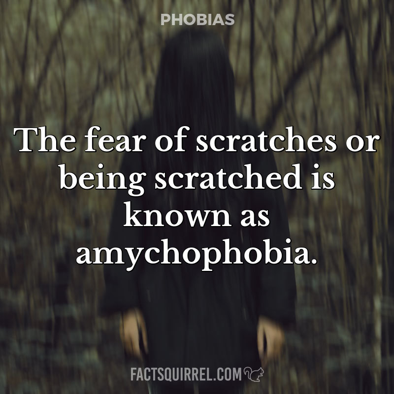 The fear of scratches or being scratched is known as amychophobia