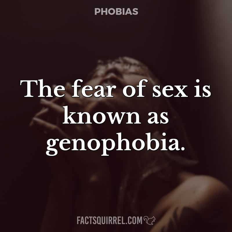 The fear of sex is known as genophobia